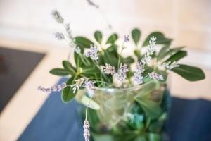 Fotografie z fotogalerie ubytování Apartments Lulic v destinaci Crikvenica