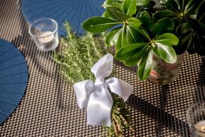 Fotografie z fotogalerie ubytování Apartments Lulic v destinaci Crikvenica