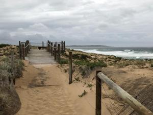 a wooden path leading to a beach with the ocean at Beachfront Living Cronulla in Cronulla