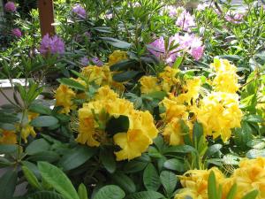 Κήπος έξω από το Bed & Breakfast La Val