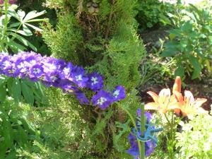 Κήπος έξω από το Bed & Breakfast La Val