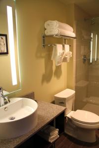 a bathroom with a sink and a toilet and a shower at Northern Hotel in Billings