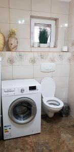 a bathroom with a washing machine and a toilet at Casa Alina in Arpaşu de Sus