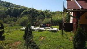 un patio con sofá y una silla en el césped en Casa Alina en Arpaşu de Sus