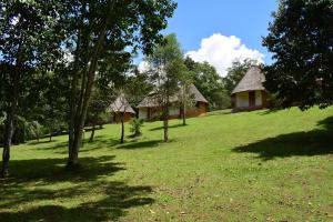 Сад в Kibale Guest Cottages