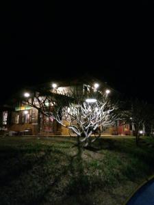 a tree in front of a building at night at Khaokor Remind by Palek in Khao Kho