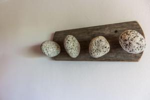 4 huevos de codorniz sobre un soporte de madera en una pared en Inlandsis Aparts en El Chaltén