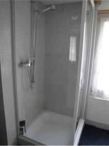 W łazience znajduje się prysznic ze szklanymi drzwiami. w obiekcie Altstadtappartment w mieście Altstätten
