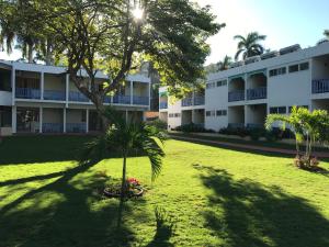 einen Innenhof mit einer Palme vor einem Gebäude in der Unterkunft Toby's Resort in Montego Bay