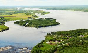 an aerial view of a river with trees and houses at Kukkolankoski Resort - Vierastalot in Kukkola