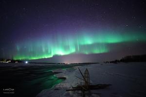 an aurora in the sky over a snowy field at Kukkolankoski Resort - Vierastalot in Kukkola