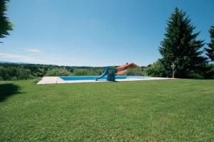 einem Pool mit Rutsche auf einem Rasenplatz in der Unterkunft Landgasthof Schweizerhof in Wonneberg
