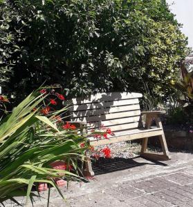 
a wooden bench sitting in front of a flower garden at Melrose B&B in Clonakilty
