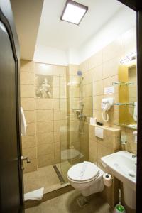 La salle de bains est pourvue d'une douche, de toilettes et d'un lavabo. dans l'établissement Hotel-Restaurant Ayan Piatra Neamt, à Piatra Neamţ