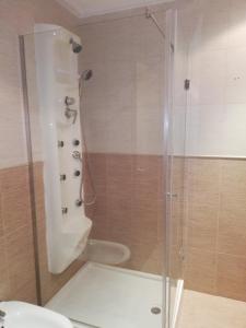 a shower with a glass door in a bathroom at Hotel Gardu in Montealegre del Castillo