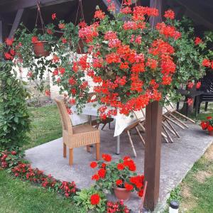 una mesa con un ramo de flores rojas. en Apartman Kalinka, en Gajić