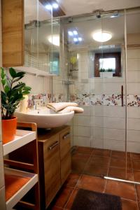 a bathroom with a sink and a shower at Chata U Studánky in Deštné v Orlických horách