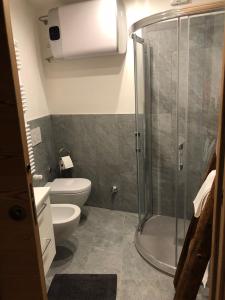 a bathroom with a shower and a toilet at PETITE MAISON a 50 passi dalla funivia !!! in Courmayeur