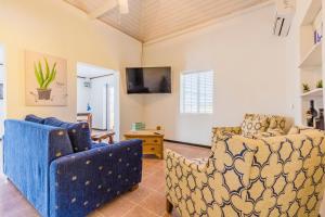 a living room with two blue chairs and a tv at Old Aloe House in Savaneta