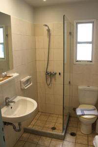 a bathroom with a shower and a sink and a toilet at Vasilikos Studios in Naxos Chora