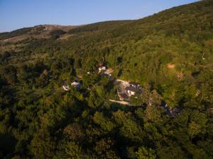 Fotografie z fotogalerie ubytování Holiday House Kate v destinaci Stolac