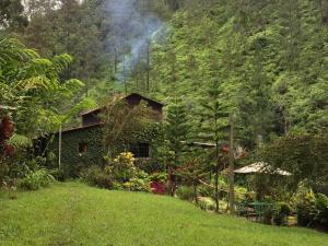 a house in the middle of a lush green forest at Arroyo Frío River Lodge in Arroyo Frío