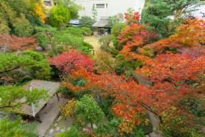 un jardín con árboles coloridos y un banco en Funaya, en Matsuyama