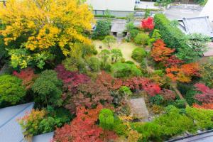 uma vista sobre um jardim com árvores coloridas em Funaya em Matsuyama