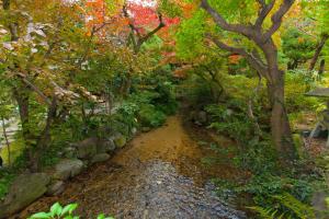 um riacho no meio de um jardim com árvores em Funaya em Matsuyama