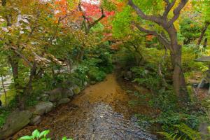 a stream in the middle of a garden with trees at Funaya in Matsuyama