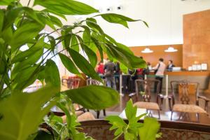Hosté ubytování Sun Palace Hotel + 37 fotografií