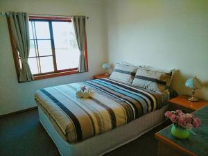 a bedroom with a large bed and a window at Baudins Accommodation in Naracoopa
