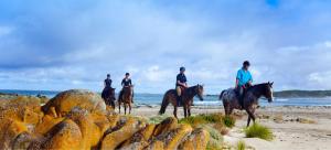 a group of people riding horses on the beach at Baudins Accommodation in Naracoopa