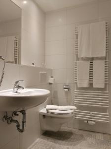 a bathroom with a sink and a toilet and a mirror at Landgasthof zum Herz in Trauchgau