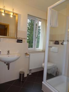 a bathroom with a sink and a toilet and a mirror at Appartements im Hollandhaus in Kurort Oberwiesenthal