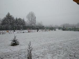 un champ couvert de neige avec des arbres et des buissons dans l'établissement Kastor Chalets, à Ampelokipoi