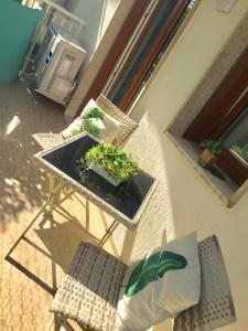 uma mesa com um vaso de planta ao lado de duas cadeiras em Piccolo Moderno Appartamento sulla Spiaggia in Centro em Lido di Jesolo