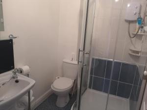 a bathroom with a toilet and a shower and a sink at East Mount House in Barrow in Furness