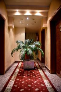 Foto dalla galleria di Hotel Carpati a Baia Mare Altre 26 foto