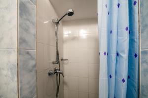 a shower with a shower head and a shower curtain at Kryva Lypa in Lviv