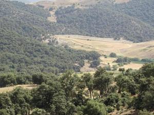 Paesaggio naturale nelle vicinanze dell'affittacamere