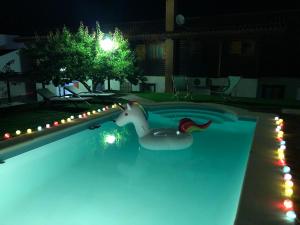 モネステリオにあるLovely Country House "Ruta de la Plata"の夜のスイミングプールでのおもちゃの鴨