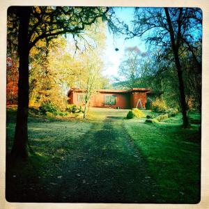 Vonkajšia záhrada v ubytovaní Woodside Logcabin Ardoch Lodge