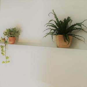 Foto da galeria de Live like a local in Ekkamai em Bangkok