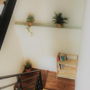 Biblioteca no apartamento