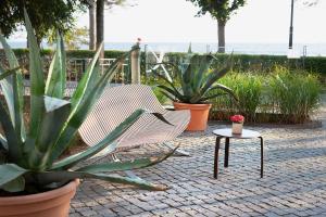 Zahrada ubytování niXe Boutiquehotel & Spa