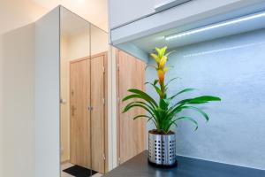 Fotografia z galérie ubytovania MOKO Apartment II vo Varšave