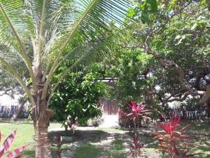 Um jardim em Ciamat Camp