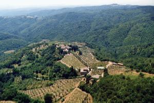 una vista aérea de un viñedo en las montañas en Azienda Agricola di Fietri, en San Vincenti