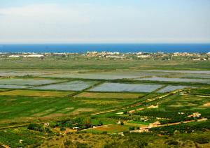 an aerial view of a field with the ocean at Complejo Bellavista Residencial in Pego